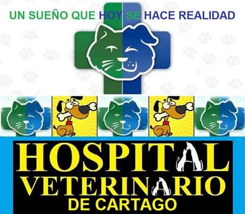Cartago tendrá Hospital Veterinario
